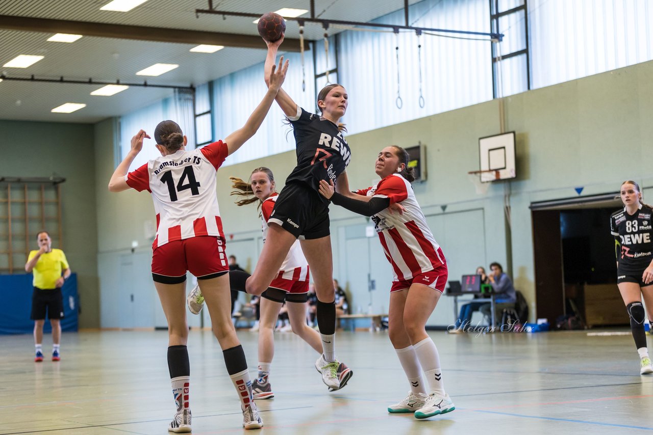 Bild 145 - wBJ SV Henstedt Ulzburg - Bramstedter TS : Ergebnis: 27:15